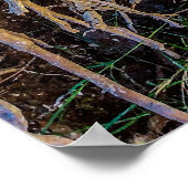 7プリント、ポスター紙（半光沢） ポスター (角)