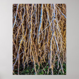 7プリント、ポスター紙（半光沢） ポスター