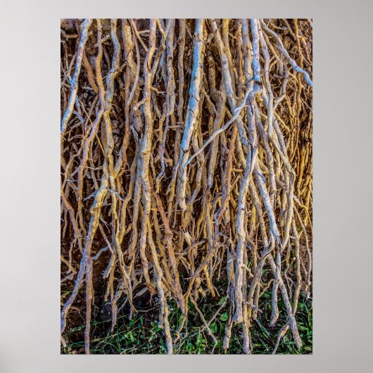 7プリント、ポスター紙（半光沢） ポスター (正面)