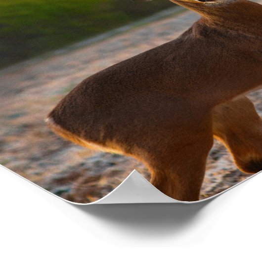 7ポイントバック ポスター (角)