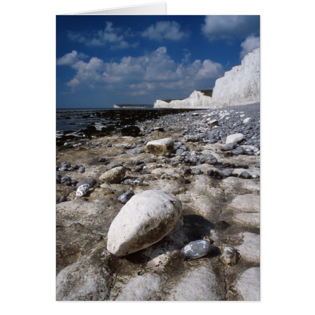 7人の姉妹カード (正面)