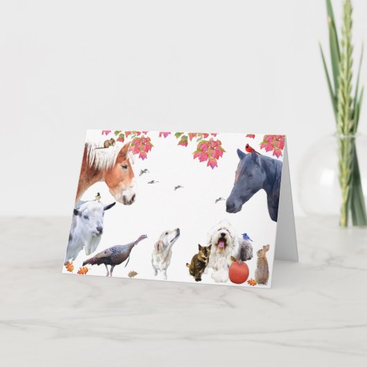 #7地球楽しむの豊かさ:HappyThanksgiving シーズンカード (正面)