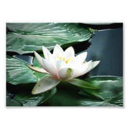 7時間365日のフォトプリント フォトプリント           