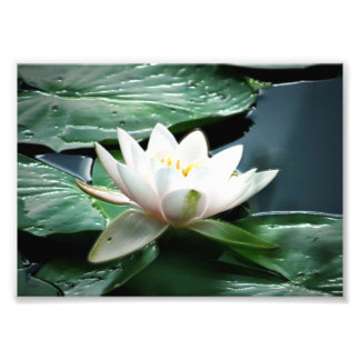 7時間365日のフォトプリント フォトプリント           