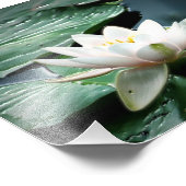 7時間365日のフォトプリント フォトプリント            (角)