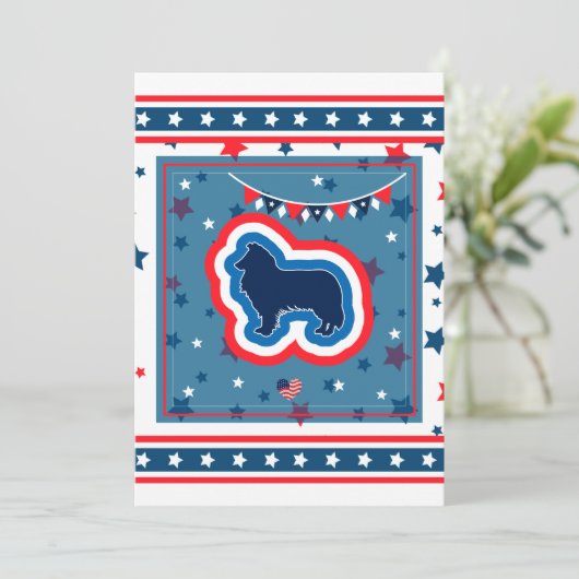 7月おもしろいBBQパーティー4日ラフCollie Fireworks 招待状 (スタンド正面)