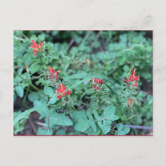 7月すてきはがき ポストカード (正面)