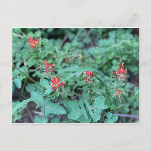 7月すてきはがき ポストカード (正面)