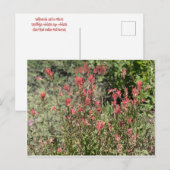 7月すてき日 ポストカード (正面/裏面)