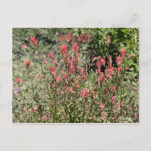 7月すてき日 ポストカード (正面)