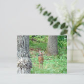 7月のはがき込み ポストカード (スタンド正面)