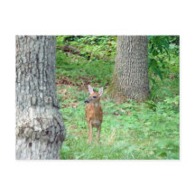 7月のはがき込み