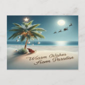 7月のウィッシュのクリスマス シーズンポストカード (正面)