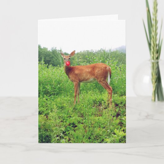 7月のクリスマス シーズンカード (正面)