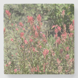 7月のロックショー ストーンコースター