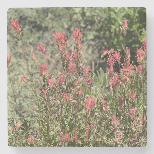 7月のロックショー ストーンコースター (正面)