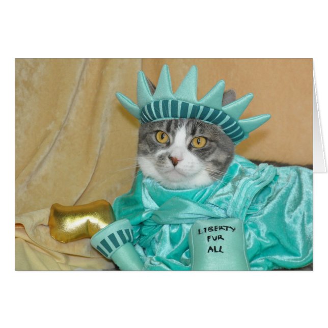 7月の灰色の虎猫猫カードの愛国心が強い第4 (正面横)