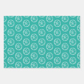 7月の熱帯クリスマスサンドドルビーチシェル ラッピングペーパーシート (正面)