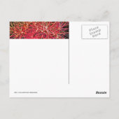 7月の独立記念日の花火 ポストカード (裏面)