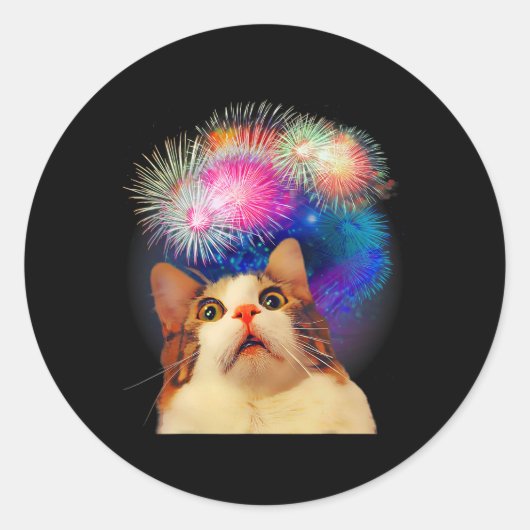 7月の花火に魅了された猫の ラウンドシール (正面)