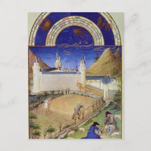 7月の魅力:収穫と羊 ポストカード (正面)