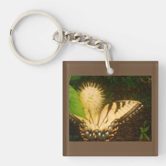 7月イエロー（昆虫）オオカバマダラ、モナーク キーホルダー (正面)