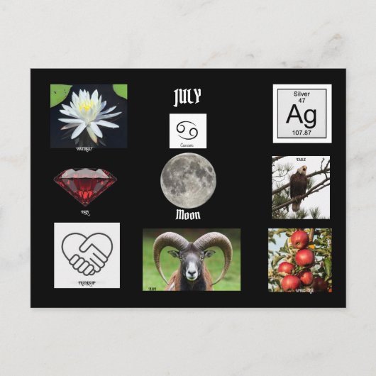 7月ガン誕生月ポストカード ポストカード (正面)