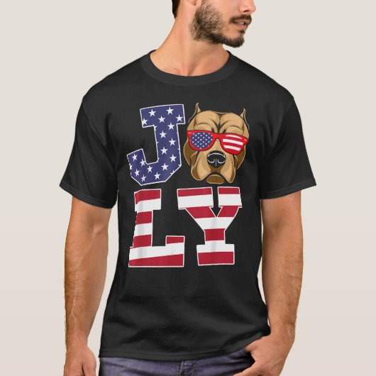 7月プライドアメリカ独立記念日7月4日ピッブ Tシャツ (正面)