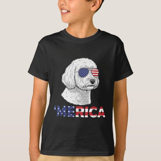 7月独立記念日のアポ・メリカ4日 Tシャツ (正面)