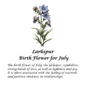 7月誕生フラワーラークスパーパーソナライズされた16オズ タンブラー