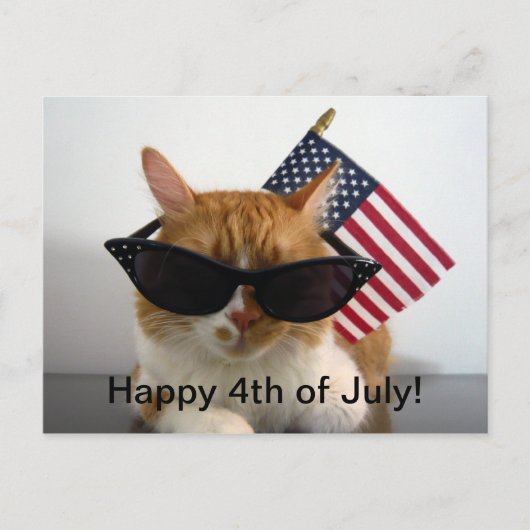 7月4日おめでとう クールキャットとアメリカ国旗 ポストカード (正面)
