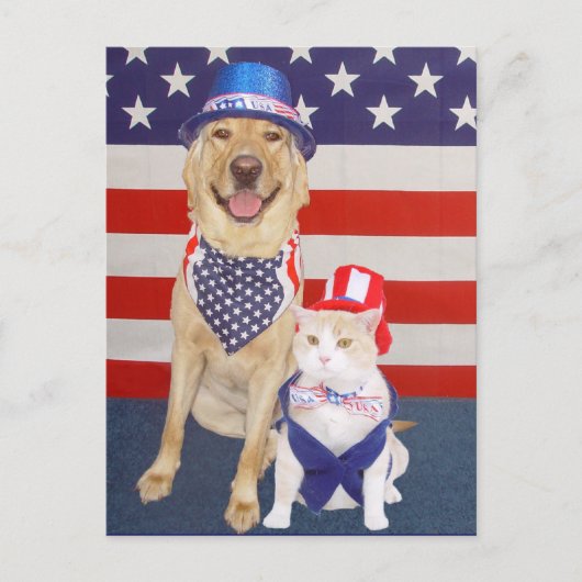 7月4日おめでとう! ポストカード (正面)