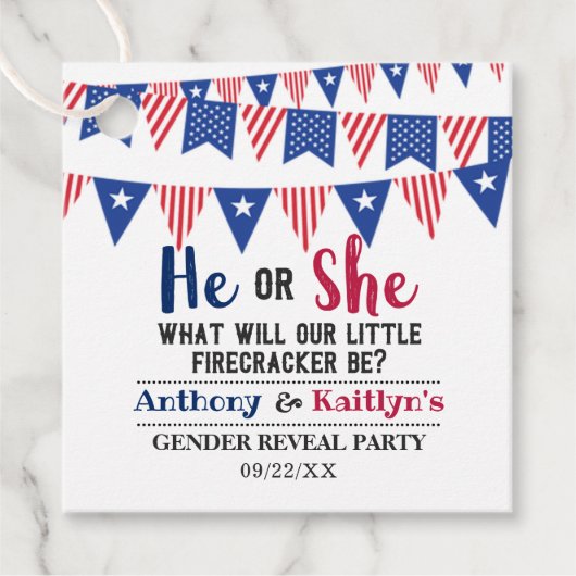 7月4日のバンティング旗のジェンダーがパーティー フェイバータグ (正面)