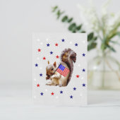 7月4日のリス ポストカード (スタンド正面)