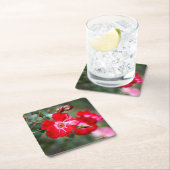 7月4日の低木 スクエアペーパーコースター (インサイチュ)
