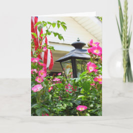 7月4日の花 – Martha's Vineyard Card カード