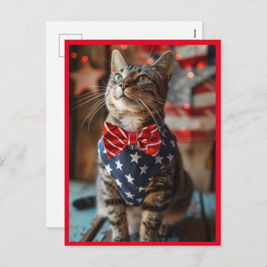 7月4日めでたい猫 シーズンポストカード (正面/裏面)