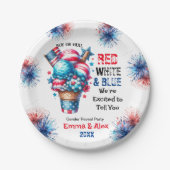 7月4日アイスクリームジェンダー発表 ペーパープレート (正面)