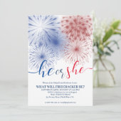 7月4日ジェンダーリビール招待状 招待状 (スタンド正面)