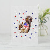 7月4日リス 招待状 (スタンド正面)