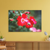 7月4日低木 キャンバスプリント (インサイチュ (リビング))