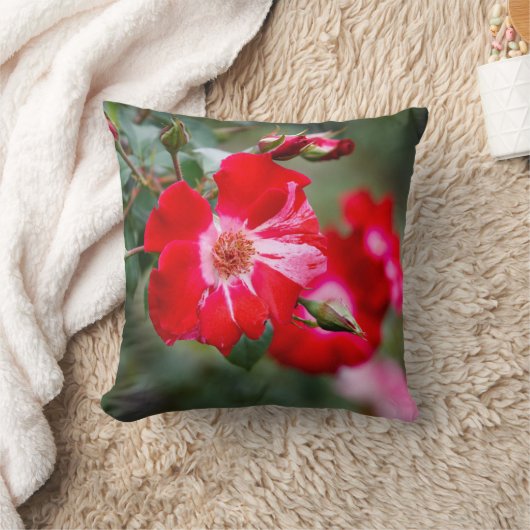 7月4日低木 クッション (ブランケット)