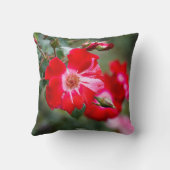 7月4日低木 クッション (裏面)