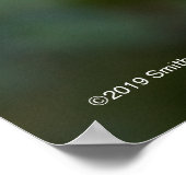 7月4日低木 ポスター (角)