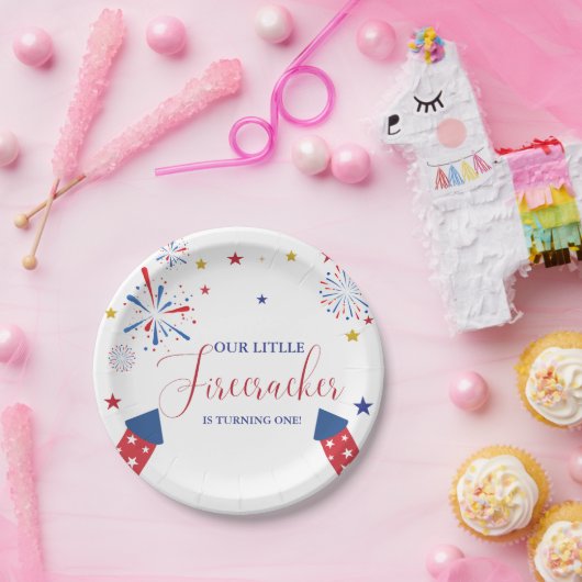 7月4日愛国独立誕生会 ペーパープレート (パーティー)