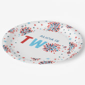 7月4日第2誕生日 ペーパープレート (アングル)