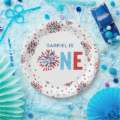 7月4日誕生日 ペーパープレート (パーティー)