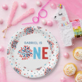 7月4日誕生日 ペーパープレート (パーティー)