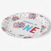 7月4日誕生日 ペーパープレート (アングル)