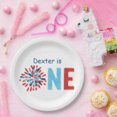 7月4日誕生日  ペーパープレート (パーティー)